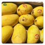 Pakistani Mangoes in Uae