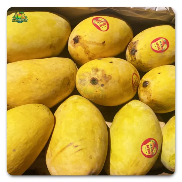 Pakistani Mangoes in Uae